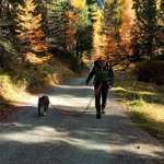 Ersteller:in Wibke Profilbild