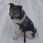 Ersteller:in Brigitte Profilbild