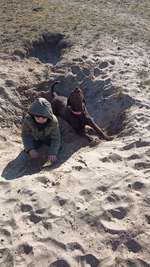 Hundeauslaufgebiet-Inoffizielle Hundewiese-Bild