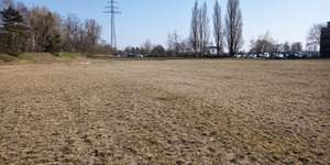 Hundeauslaufgebiet-Inoffizielle Hundewiese-Bild