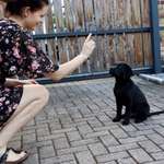 Ersteller:in Lena Profilbild