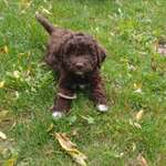 Ersteller:in Elke Profilbild