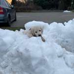 Ersteller:in Nina Profilbild