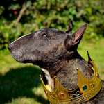 Ersteller:in Bull Profilbild