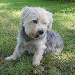 Ersteller:in Peggy Profilbild