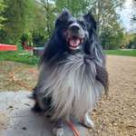 Ersteller:in Franziska Profilbild