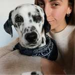 Ersteller:in Josephin Profilbild