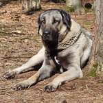 Ersteller:in Nicolin Profilbild