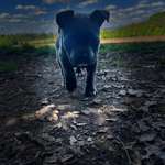 Ersteller:in Ray. Profilbild