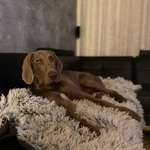 Ersteller:in Annabell Profilbild