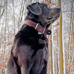 Ersteller:in Stefan Profilbild