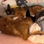 Ersteller:in Luisa Profilbild