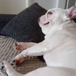 Ersteller:in Emelie Profilbild