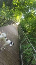 Ersteller:in Michele Profilbild