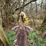 Ersteller:in Ann-Christine Profilbild