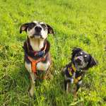 Ersteller:in Vanessa Profilbild