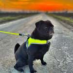 Ersteller:in Diana Profilbild