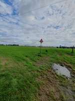 Hundeauslaufgebiet-Rheinwiesen Duisburg-Neuenkamp-Bild