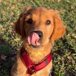 Ersteller:in Laura Profilbild