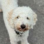 Ersteller:in ANNA Profilbild