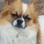 Ersteller:in Michaela Profilbild