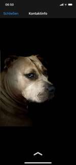 Wesenstest Baden Württemberg LK Lörrach-Beitrag-Bild