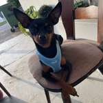 Ersteller:in Christina Profilbild