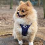 Ersteller:in Angelika Profilbild