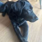 Ersteller:in Nati Profilbild