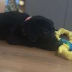 Ersteller:in Nati Profilbild