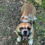 Ersteller:in Ben Profilbild