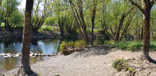 Hundeauslaufgebiet-An der Lenne (Hohenlimburg)-Bild