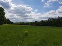 Hundeauslaufgebiet-An der Lenne (Hohenlimburg)-Bild