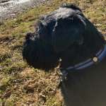 Ersteller:in Regina Profilbild