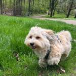 Ersteller:in Nina Profilbild