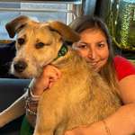 Ersteller:in Marion Profilbild