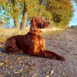 Ersteller:in Svenja Profilbild