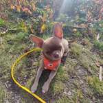 Ersteller:in Ramona Profilbild