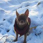 Ersteller:in Ramona Profilbild