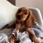 Ersteller:in Lory Profilbild