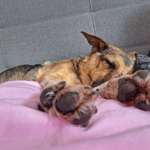 Ersteller:in Nadin Profilbild