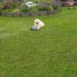 Ersteller:in Petra Profilbild