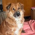 Ersteller:in Freddi Profilbild