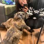 Ersteller:in Marina Profilbild