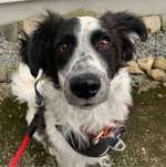 Ersteller:in Leonie Profilbild