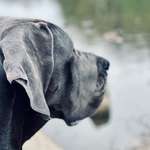 Ersteller:in Michael Profilbild