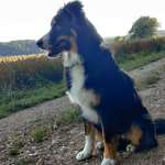 Ersteller:in Anja Profilbild