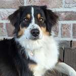 Ersteller:in Theresa Profilbild