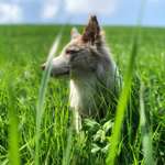 Ersteller:in Marija Profilbild