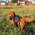 Ersteller:in Isabel Profilbild